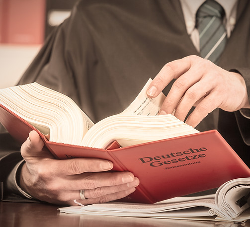 Reviewing Laws_edited.jpg