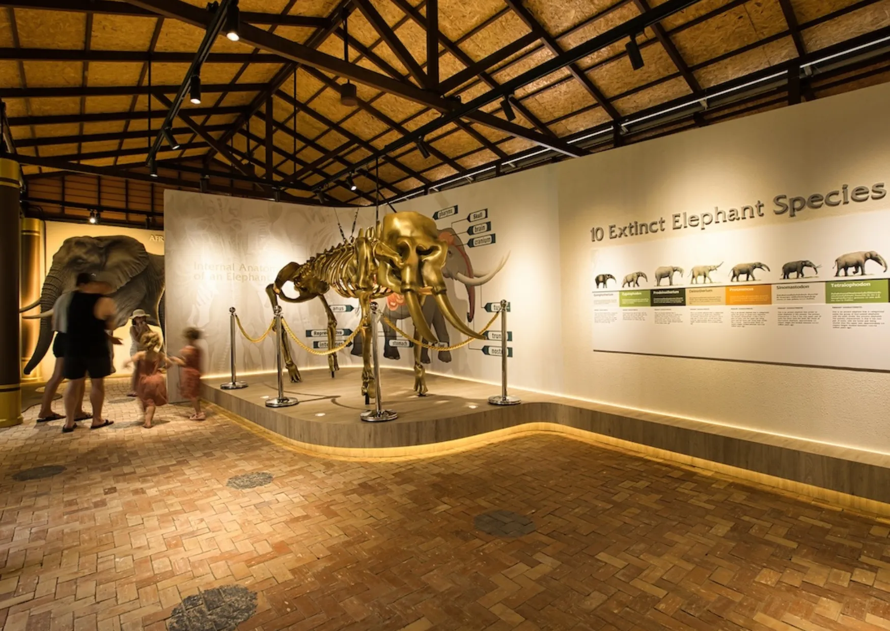 Samui Elephant Home Learning Center