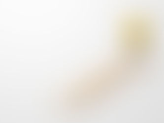 The Inspiration Behind Inspired Learning Journey