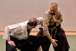 Arti marziali castelfranco veneto