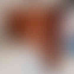 The pulpit made of western red cedar ahead of being reworked