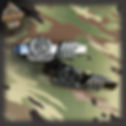 QPS_SWOS pins 1.jpg
