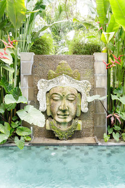 Bali IA3