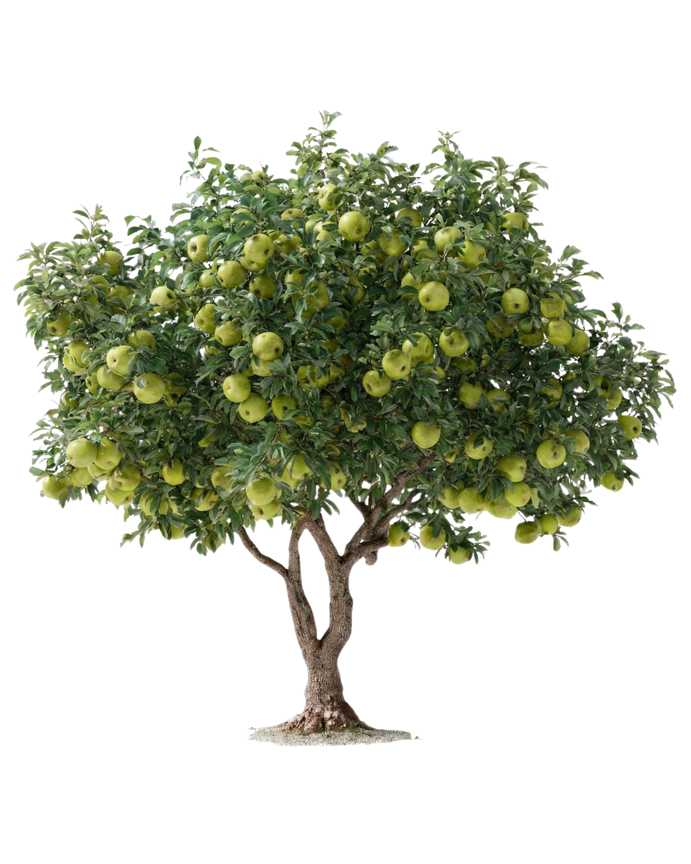 Untitled (8 x 10 in)_edited.png