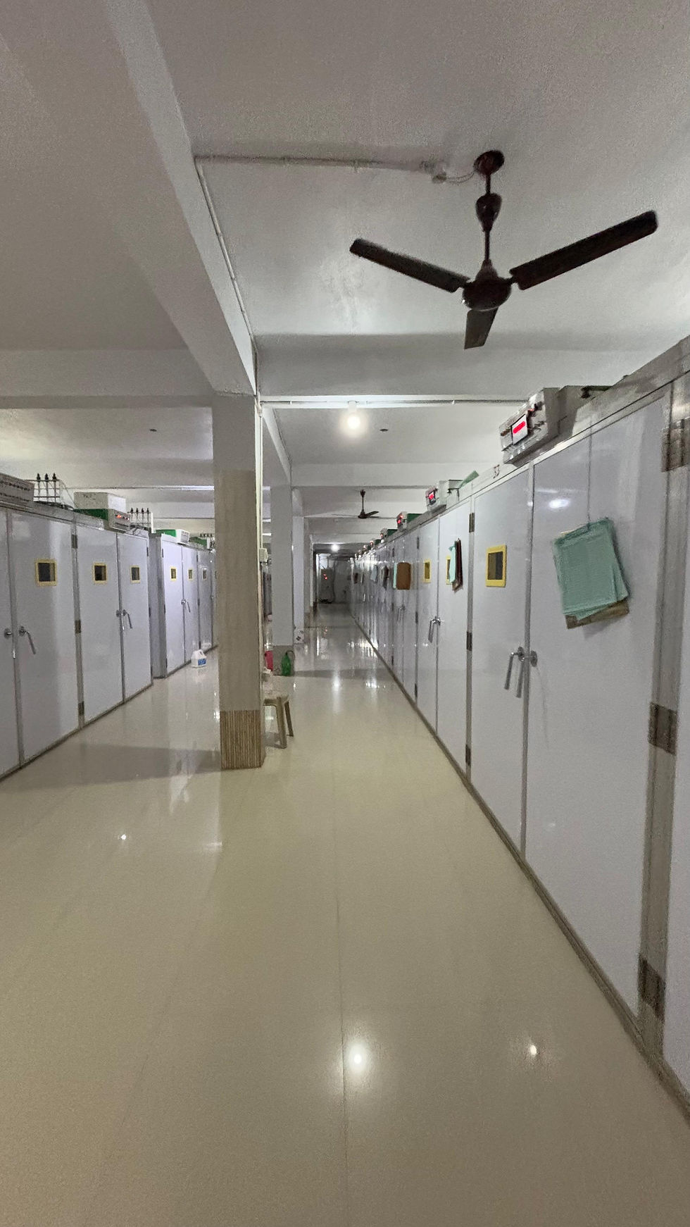 Daily Cleaning Protocols