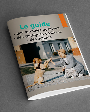Guide livret formules positives.png
