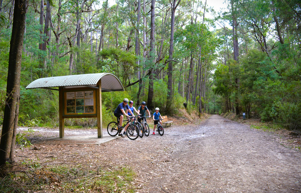A group of bike riders on the Rokeby to Crossover Rail Trail