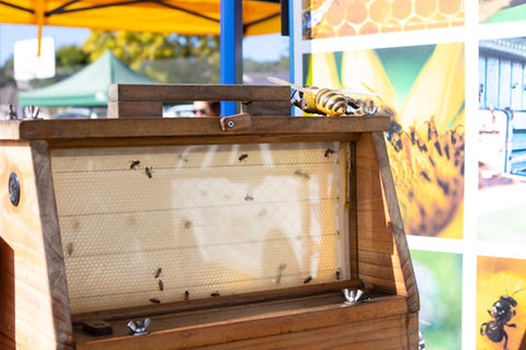 Beehives at Rokeby Market