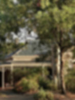 Image by Dorian Stoici