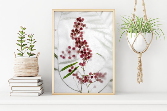 Sweet Magnolia Photography