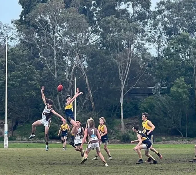 Glen Iris Junior Football Club