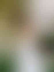 bride smiling over her shoulder in wedding dress