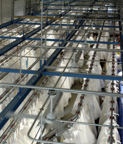 an aerial view of wedding gowns at the wedding gown preservation factory
