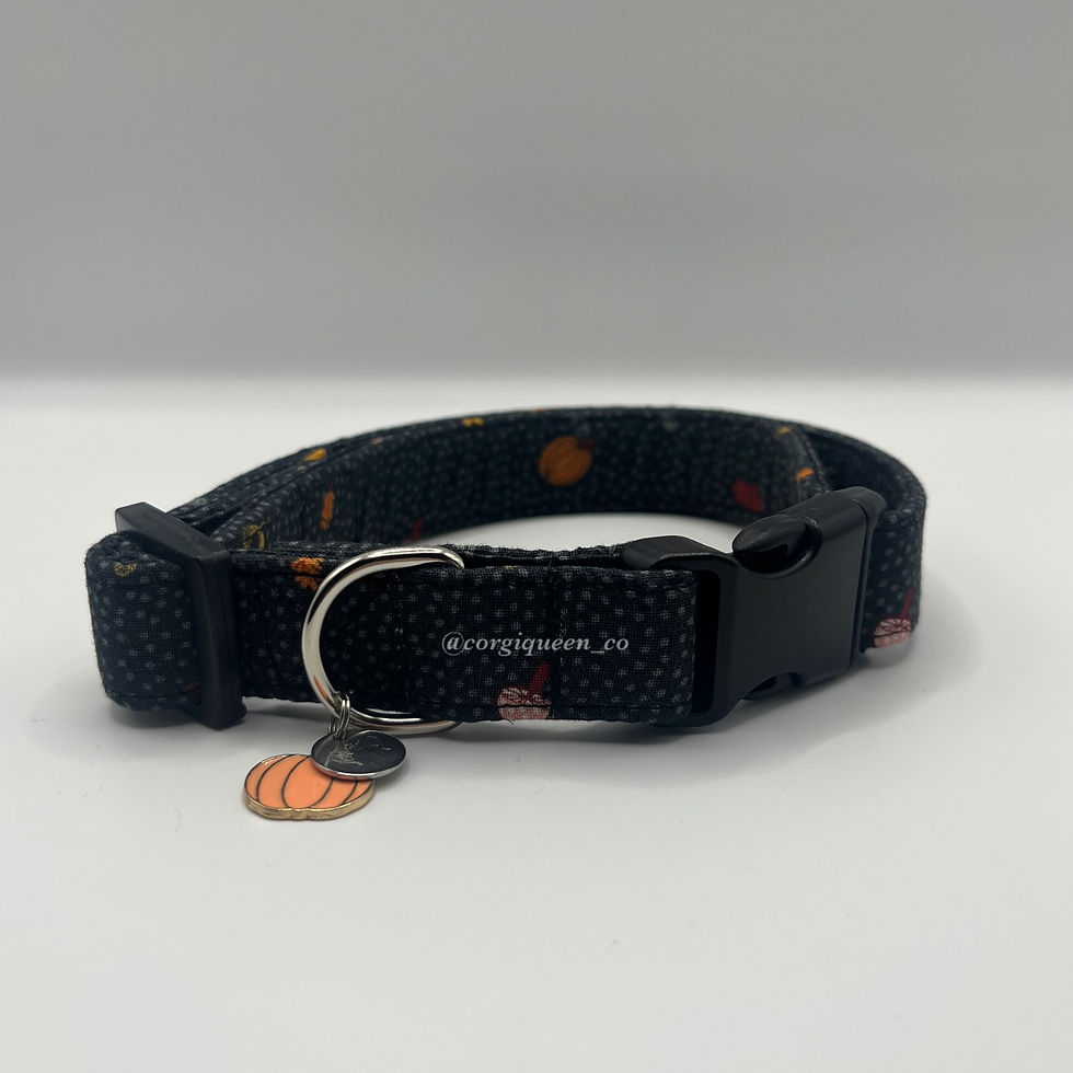 Black Pumpkin Collar