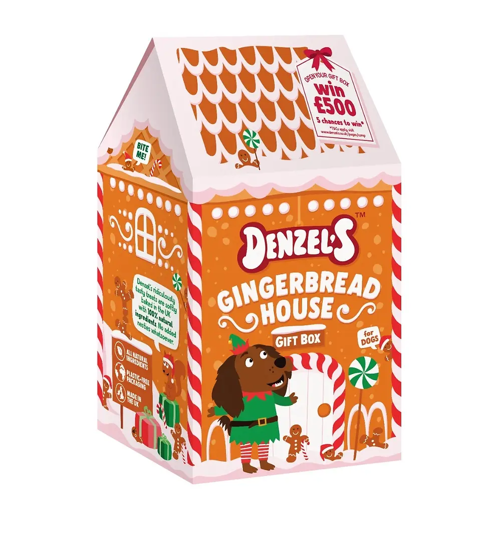 Denzel's Gingerbread House Gift Box For Dogs