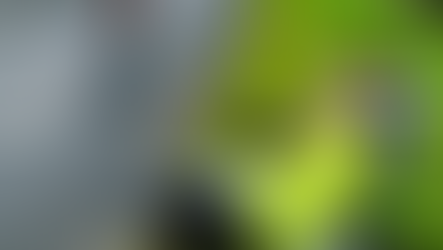 Darlington CC - Leeming 10 Mile TT