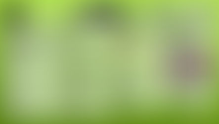 Racing Newsletter - March 2024