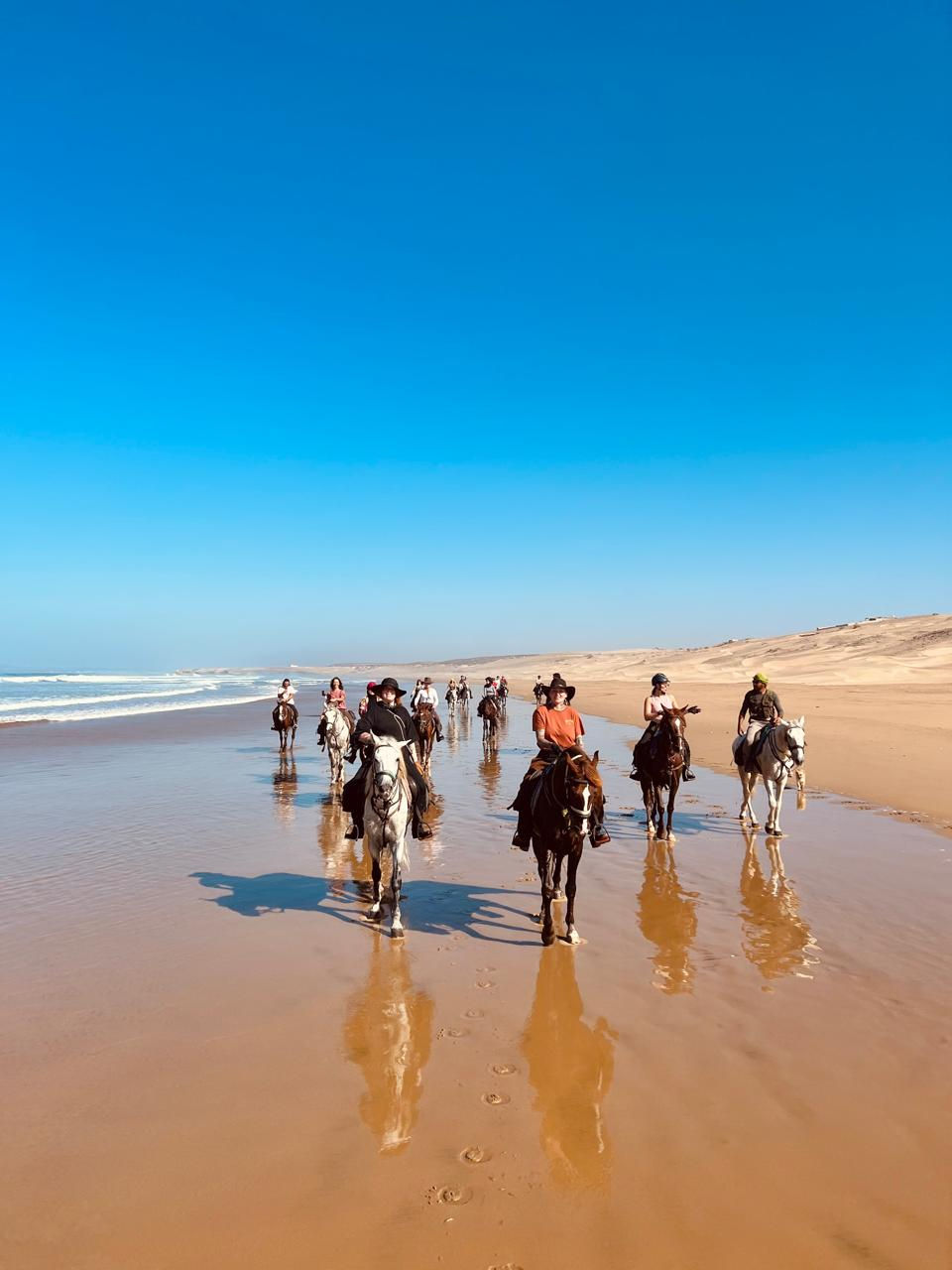 horse trek on the beach
