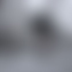 2017年 冬 (12月〜2月)