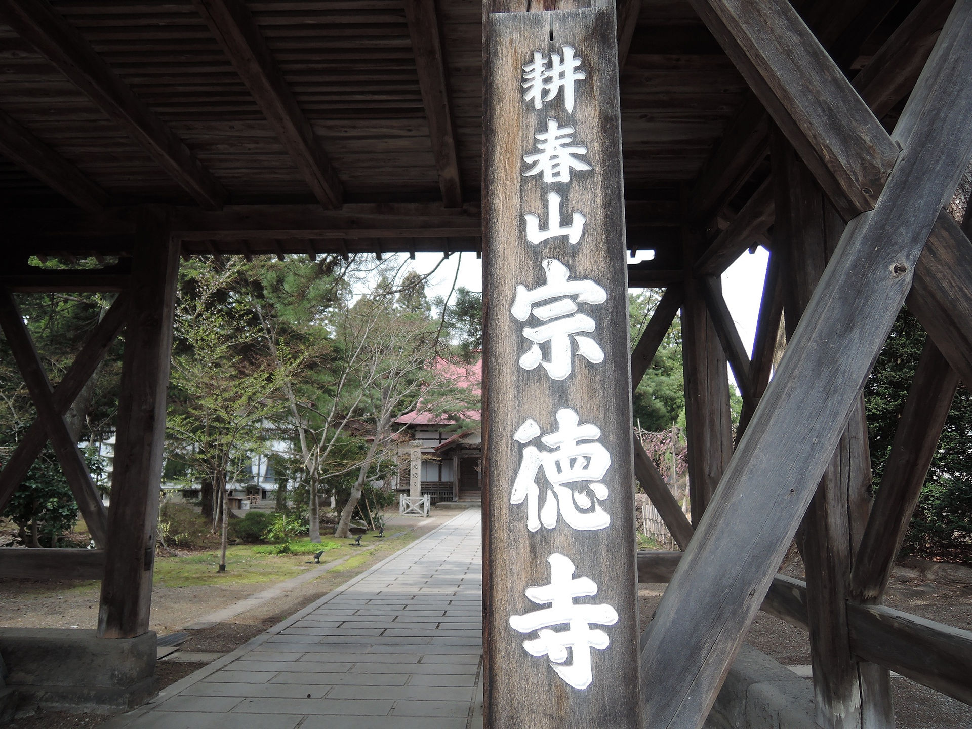 DSCN2204