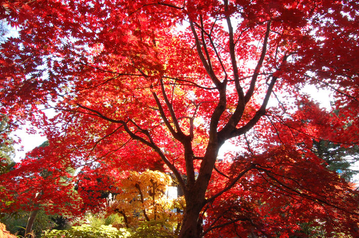 2017年 秋（9月〜11月）