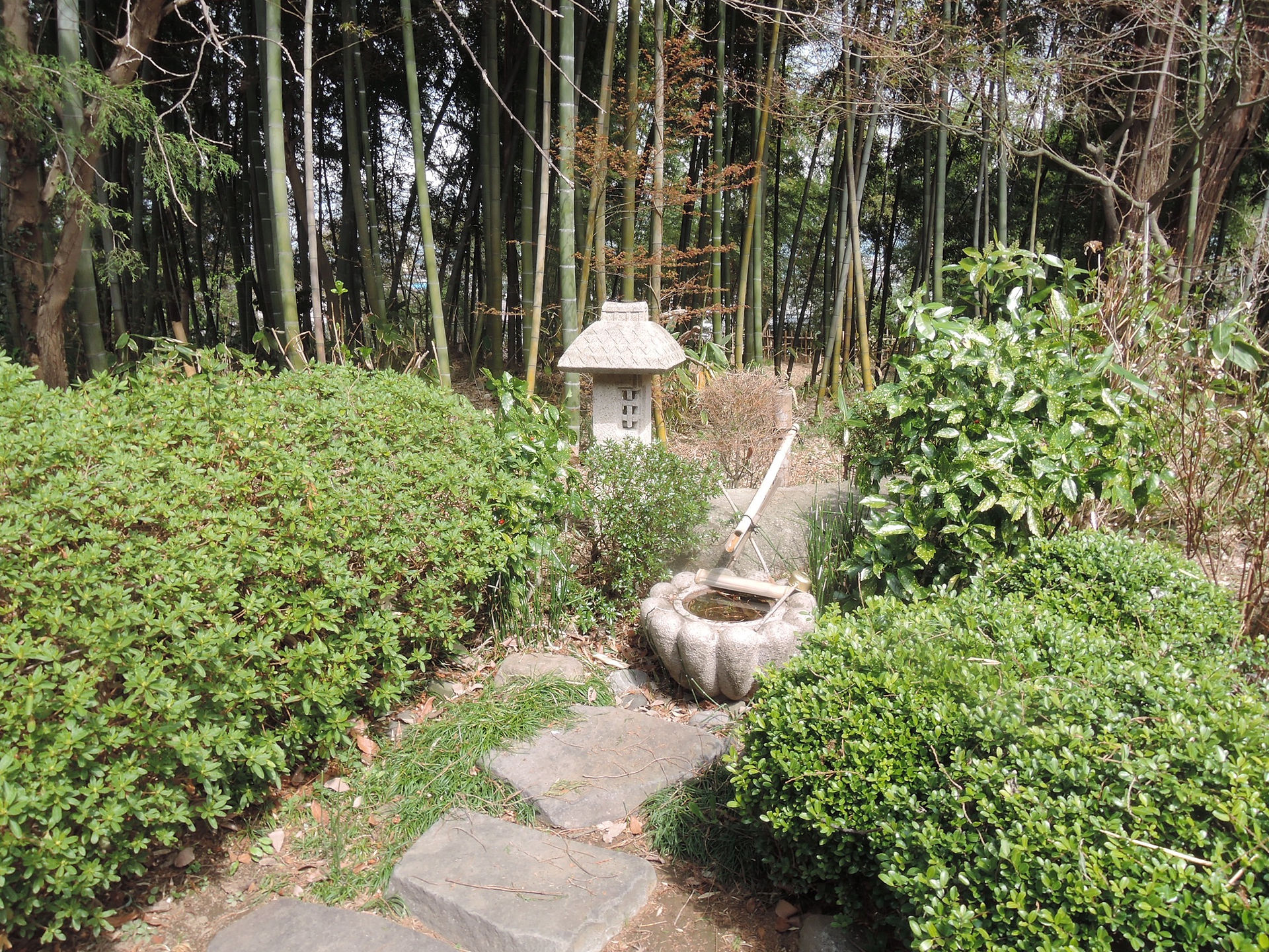 DSCN2178