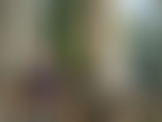 Travel: Prague ...Where Time Stands Still