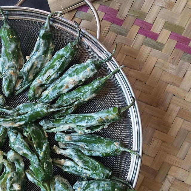Shishito Peppers from _melissasproduce being tested for a traditional Maharashtrian recipe