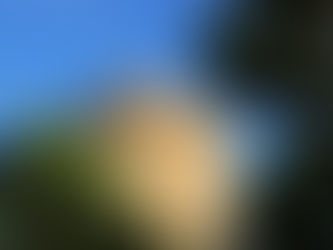 Voluntariado de corta duración (1 mes) en Grecia: trabajo con jóvenes sordos