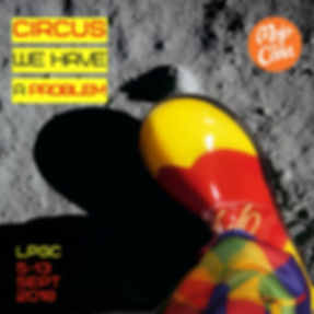 CIRCUS FOR INCLUSION