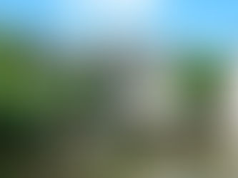 Voluntariado en Luxemburgo – Promoción de Comercio Justo con Faitrade