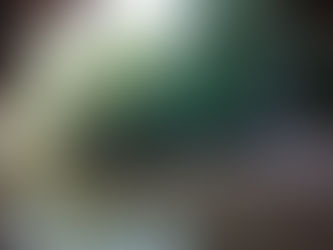 El estanque de las libélulas