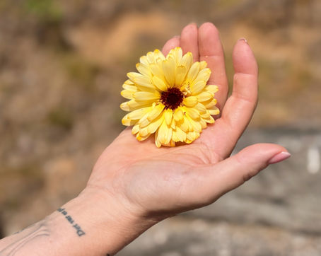 Denne våren kjenner vi på ny energi og motivasjon.