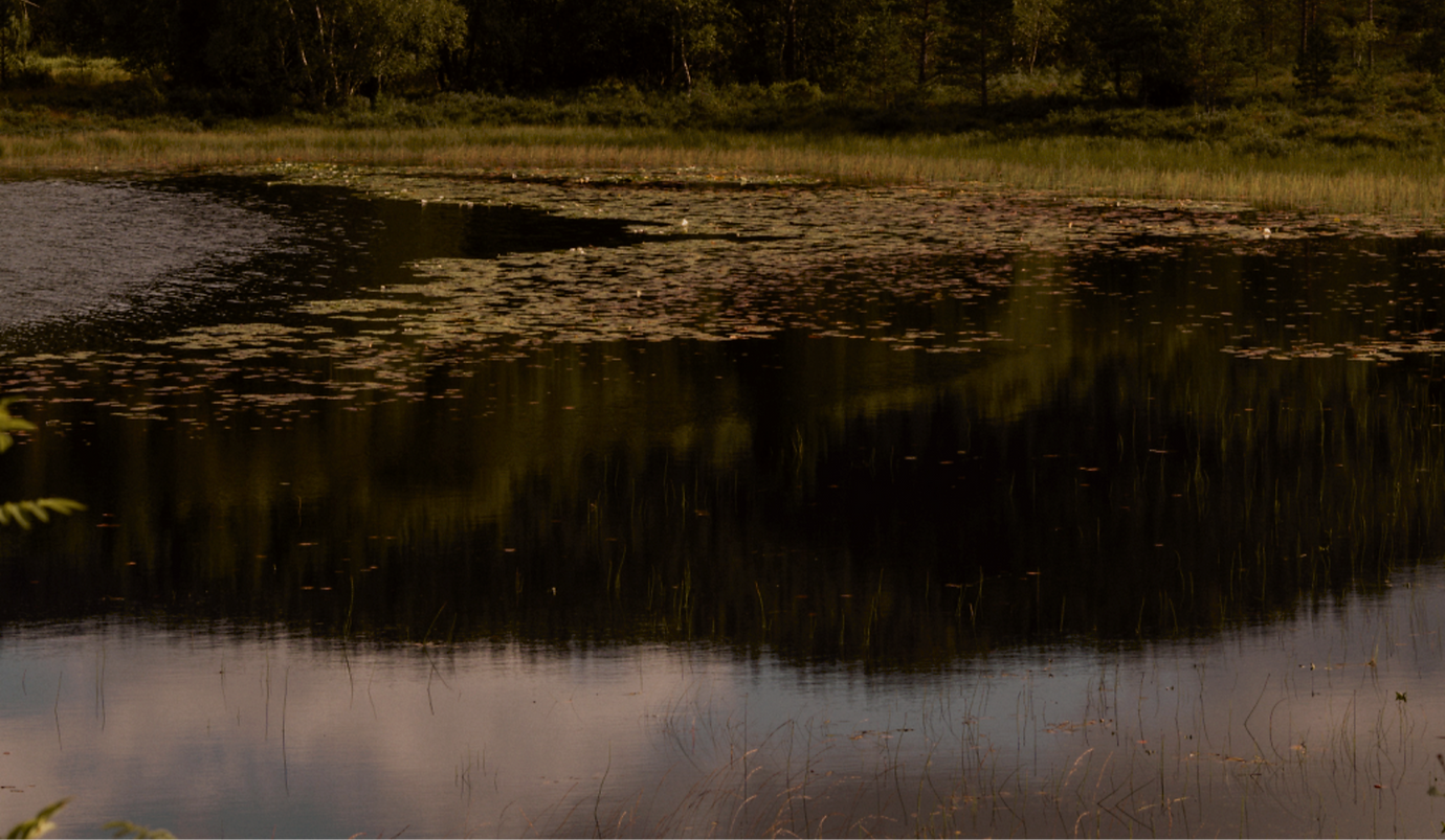 A large body of water surrounded by a forest_edited.png