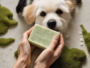 Sustainable Skincare: Nourishing Soaps for Women and Dogs