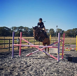 Equitrade image.jpg