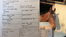 Equi-Trade Logo-2.jpg