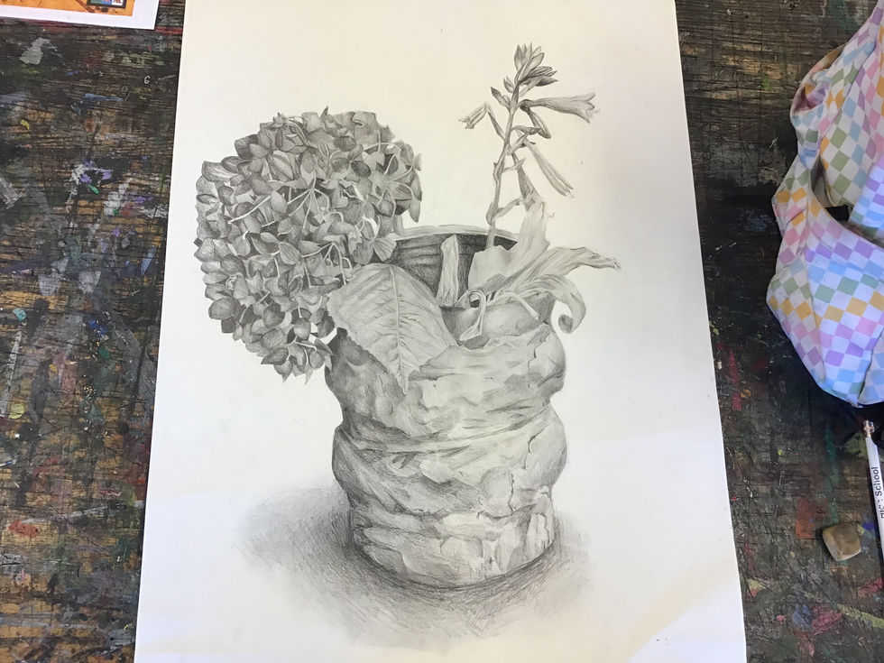 still life pencil