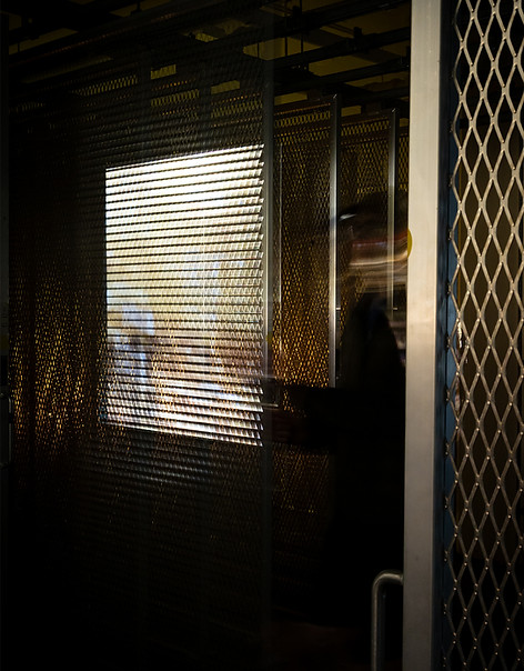 6G5A2394 portrait.jpg