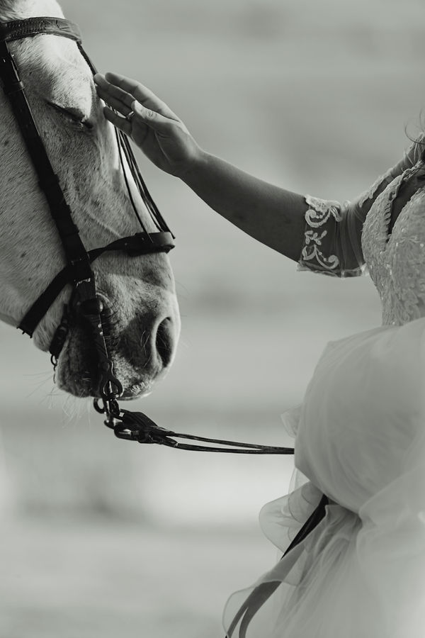 whitebuffalo Bodas Fotografía y Vídeo España