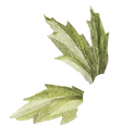 blad