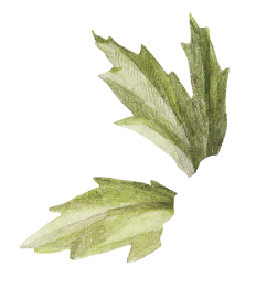 blad