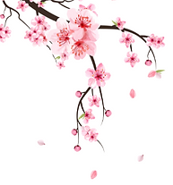 cherry blossom 2.png
