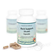back support ac.jpeg