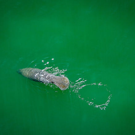 LET NATURE TALK TO YOU