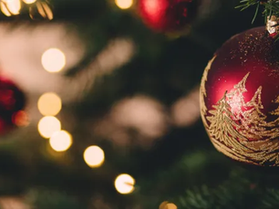 Opening Hours during the Festive Season