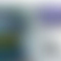 Experiencia con cursos en Linea