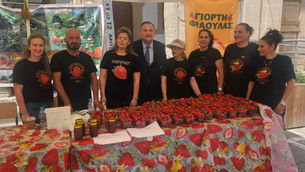 Στο Παραδείσι στο 17ο  Φεστιβάλ Φράουλας.