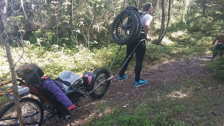 sande som fjellgeit.jpg