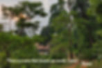 banner1.jpg